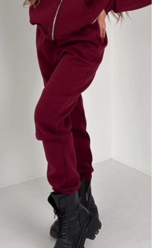 Spodnie ocieplane TS 101 Bordo